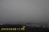 Img20230308_115354.jpg