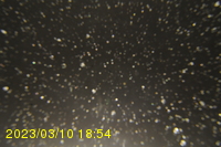 Img20230310_185401.jpg