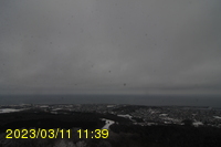 Img20230311_113902.jpg