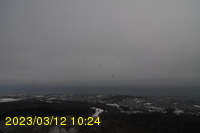 Img20230312_102405.jpg