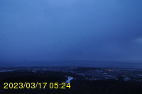 Img20230317_052418.jpg