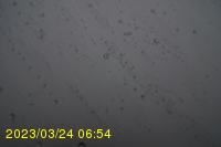 Img20230324_065439.jpg