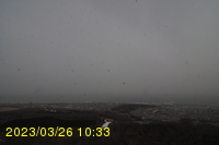 Img20230326_103331.jpg