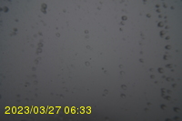 Img20230327_063333.jpg