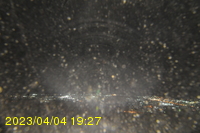 Img20230404_192732.jpg