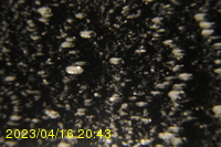 Img20230416_204307.jpg
