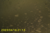 Img20230416_211308.jpg