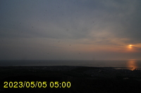 Img20230505_050036.jpg