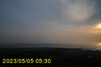 Img20230505_053036.jpg
