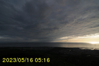 Img20230516_051611.jpg