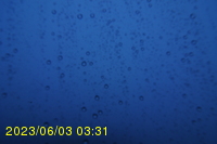 Img20230603_033104.jpg