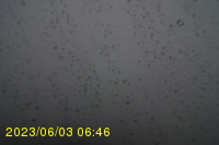 Img20230603_064605.jpg