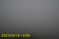 Img20230618_105620.jpg