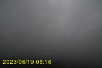Img20230619_061625.jpg