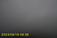 Img20230619_063625.jpg
