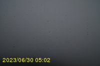 Img20230630_050225.jpg