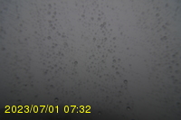 Img20230701_073231.jpg