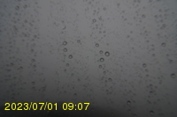 Img20230701_090732.jpg