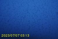 Img20230707_031305.jpg