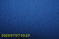 Img20230707_032305.jpg