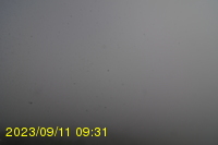 Img20230911_093153.jpg