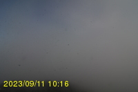 Img20230911_101653.jpg