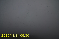 Img20231111_083048.jpg