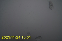 Img20231124_150126.jpg