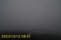 Img20231212_083105.jpg