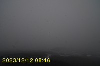 Img20231212_084605.jpg