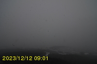 Img20231212_090105.jpg