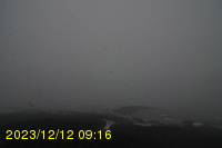 Img20231212_091605.jpg