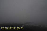 Img20231212_093105.jpg