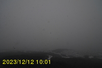Img20231212_100105.jpg