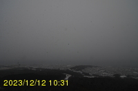 Img20231212_103106.jpg