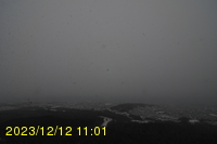 Img20231212_110106.jpg