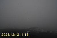 Img20231212_111606.jpg