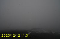 Img20231212_113106.jpg
