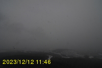 Img20231212_114606.jpg