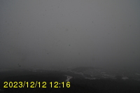 Img20231212_121606.jpg