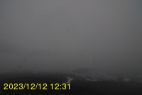 Img20231212_123106.jpg