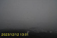 Img20231212_130106.jpg