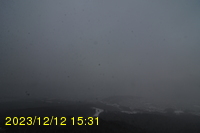 Img20231212_153106.jpg