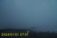 Img20240101_070134.jpg