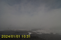 Img20240101_103134.jpg