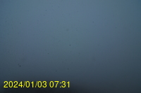 Img20240103_073140.jpg