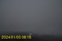 Img20240103_081640.jpg