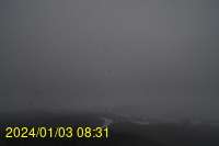 Img20240103_083140.jpg