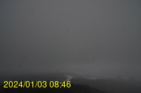 Img20240103_084640.jpg