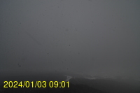 Img20240103_090140.jpg